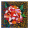 Camelia 2006 - 30cm x 30cm - Olio su tela trattata con resine e acrilico | Gianna Moise